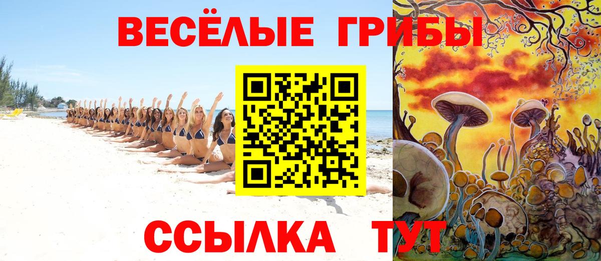 Искитим  Галлюциногенные грибы Cubensis  Вход с VPN 